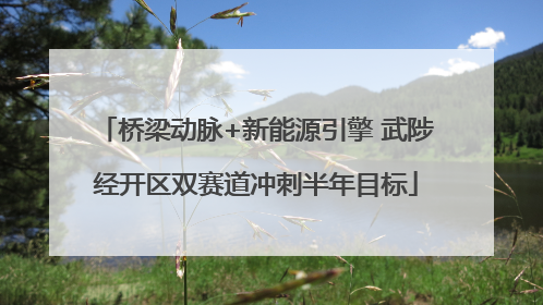 桥梁动脉+新能源引擎 武陟经开区双赛道冲刺半年目标