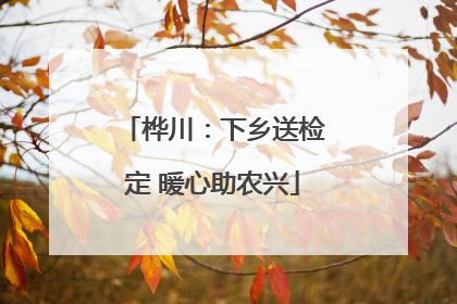 桦川：下乡送检定 暖心助农兴