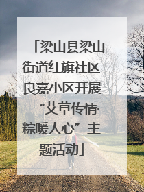 梁山县梁山街道红旗社区良嘉小区开展“艾草传情·粽暖人心”主题活动