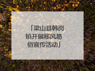梁山县韩岗镇开展移风易俗宣传活动
