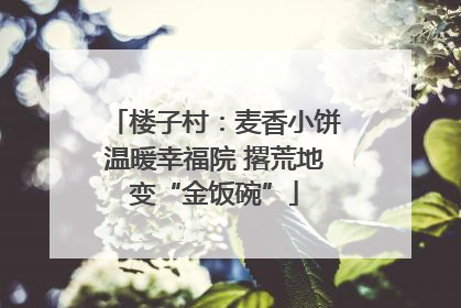 楼子村：麦香小饼温暖幸福院 撂荒地变“金饭碗”