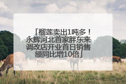 榴莲卖出1吨多！永辉河北首家胖东来调改店开业首日销售额同比增10倍