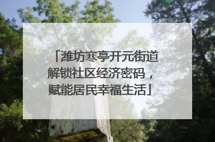 潍坊寒亭开元街道解锁社区经济密码，赋能居民幸福生活