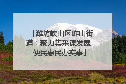 潍坊峡山区岞山街道：聚力集采谋发展 便民惠民办实事