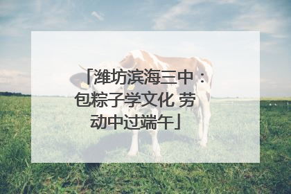 潍坊滨海三中：包粽子学文化 劳动中过端午