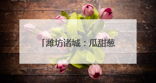潍坊诸城：瓜甜葱郁处 产业好风光