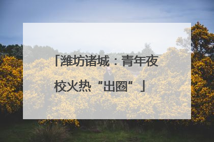 潍坊诸城：青年夜校火热“出圈”