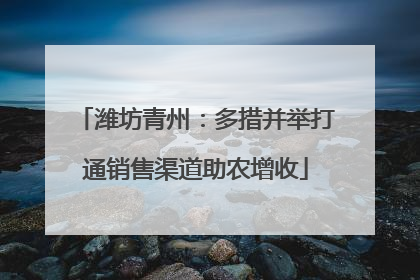潍坊青州：多措并举打通销售渠道助农增收