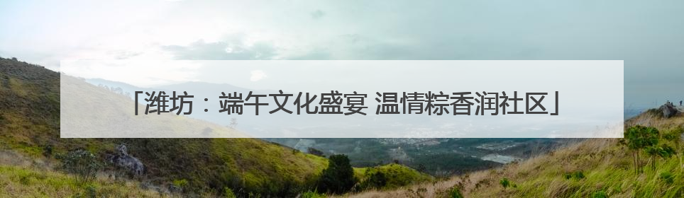 潍坊：端午文化盛宴 温情粽香润社区