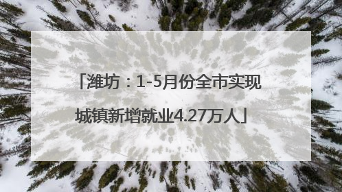潍坊：1-5月份全市实现城镇新增就业4.27万人