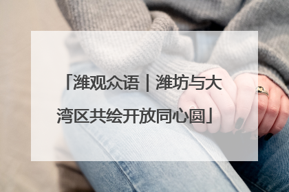 潍观众语｜潍坊与大湾区共绘开放同心圆