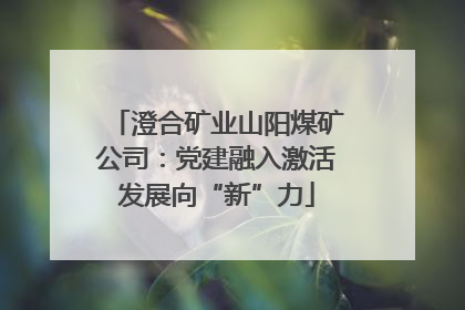 澄合矿业山阳煤矿公司：党建融入激活发展向“新”力