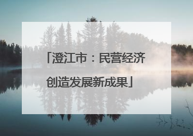 澄江市：民营经济创造发展新成果