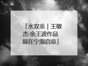 水双重｜王敏杰·余王波作品展在宁海启幕