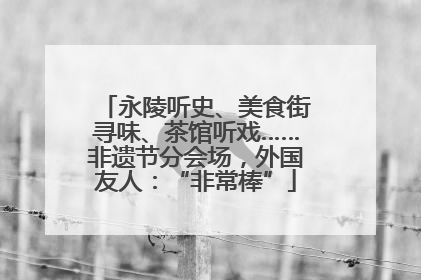 永陵听史、美食街寻味、茶馆听戏……非遗节分会场，外国友人：“非常棒”