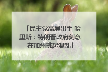 民主党高层出手 哈里斯：特朗普政府刻意在加州挑起混乱