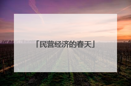 民营经济的春天