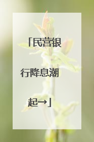 民营银行降息潮起→