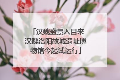 汉魏盛景入目来 汉魏洛阳故城遗址博物馆今起试运行