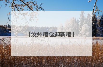 汝州粮仓迎新粮