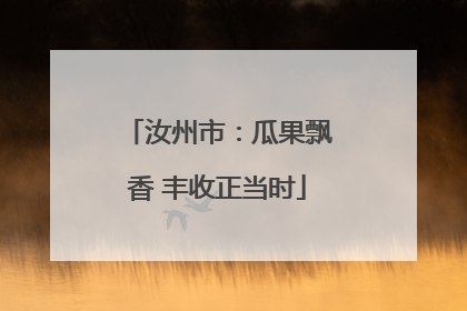 汝州市：瓜果飘香 丰收正当时