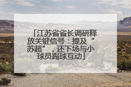 江苏省省长调研释放关键信号：提及“苏超”，还下场与小球员踢球互动