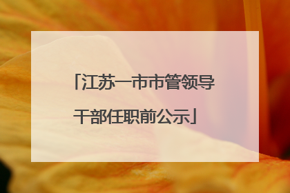江苏一市市管领导干部任职前公示