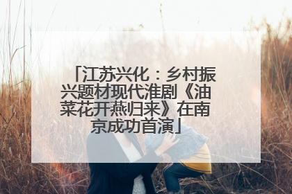 江苏兴化：乡村振兴题材现代淮剧《油菜花开燕归来》在南京成功首演