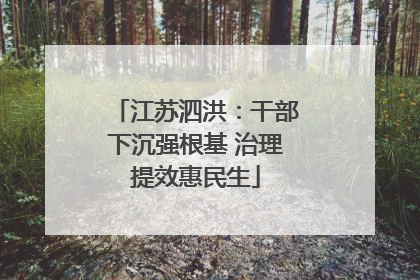 江苏泗洪：干部下沉强根基 治理提效惠民生