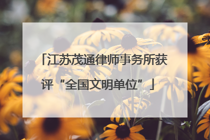 江苏茂通律师事务所获评“全国文明单位”