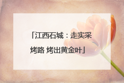 江西石城：走实采烤路 烤出黄金叶