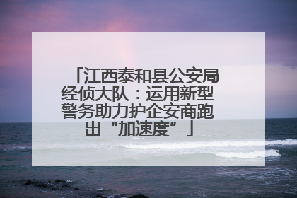 江西泰和县公安局经侦大队：运用新型警务助力护企安商跑出“加速度”