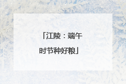 江陵：端午时节种好粮