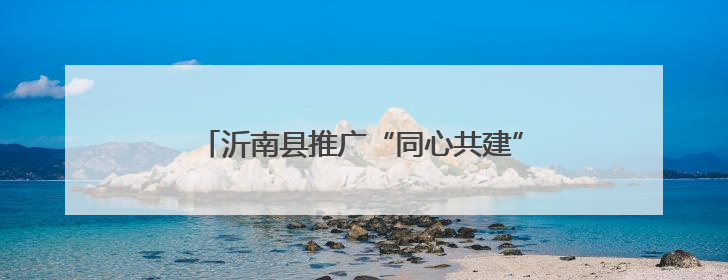 沂南县推广“同心共建”行动，提升乡村治理水平