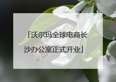 沃尔玛全球电商长沙办公室正式开业