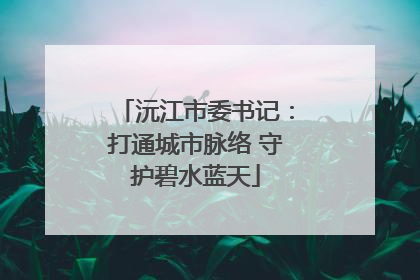 沅江市委书记：打通城市脉络 守护碧水蓝天