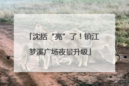 沈括“亮”了！镇江梦溪广场夜景升级
