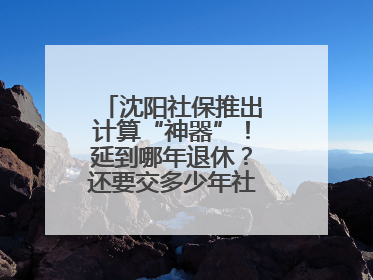 沈阳社保推出计算“神器”！延到哪年退休？还要交多少年社保？速查→