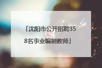 沈阳市公开招聘358名事业编制教师