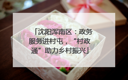 沈阳浑南区：政务服务进村屯，“村政通”助力乡村振兴