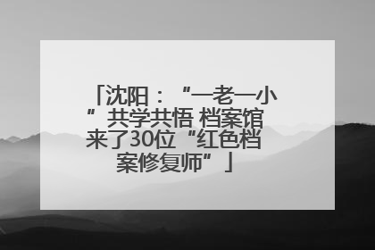 沈阳：“一老一小”共学共悟 档案馆来了30位“红色档案修复师”