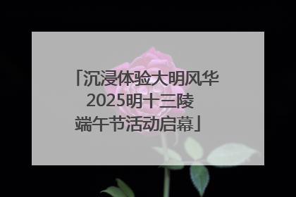 沉浸体验大明风华 2025明十三陵端午节活动启幕