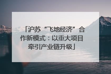 沪苏“飞地经济”合作新模式：以重大项目牵引产业链升级