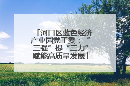 河口区蓝色经济产业园党工委：“三强”提“三力”赋能高质量发展