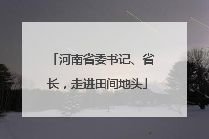 河南省委书记、省长，走进田间地头