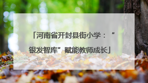 河南省开封县街小学：“银发智库”赋能教师成长