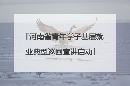 河南省青年学子基层就业典型巡回宣讲启动