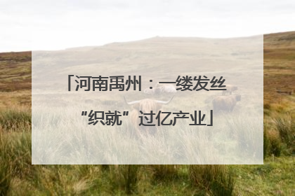 河南禹州：一缕发丝“织就”过亿产业