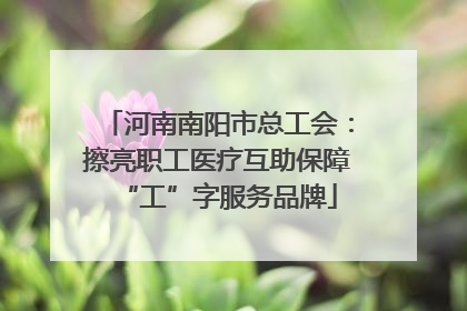 河南南阳市总工会：擦亮职工医疗互助保障“工”字服务品牌
