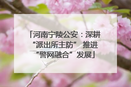 河南宁陵公安：深耕“派出所主防” 推进“警网融合”发展